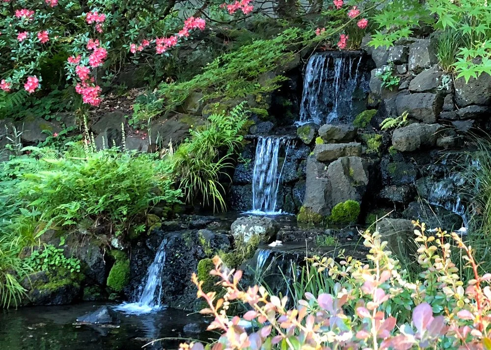Crystal Springs Rhododendron Garden