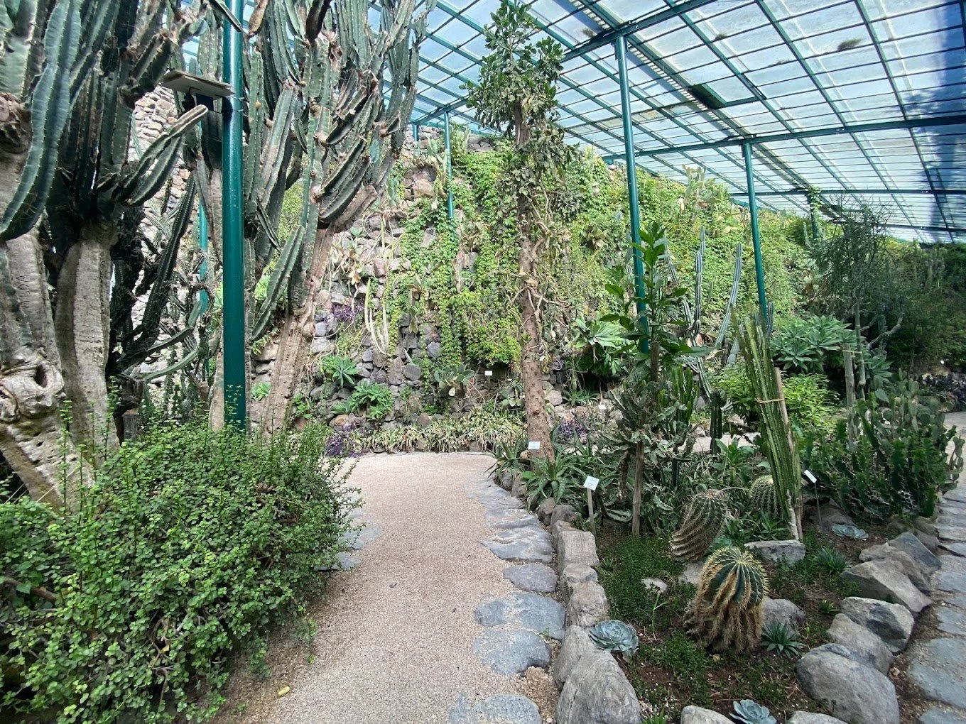 Cold Greenhouse (Estufa Fria)