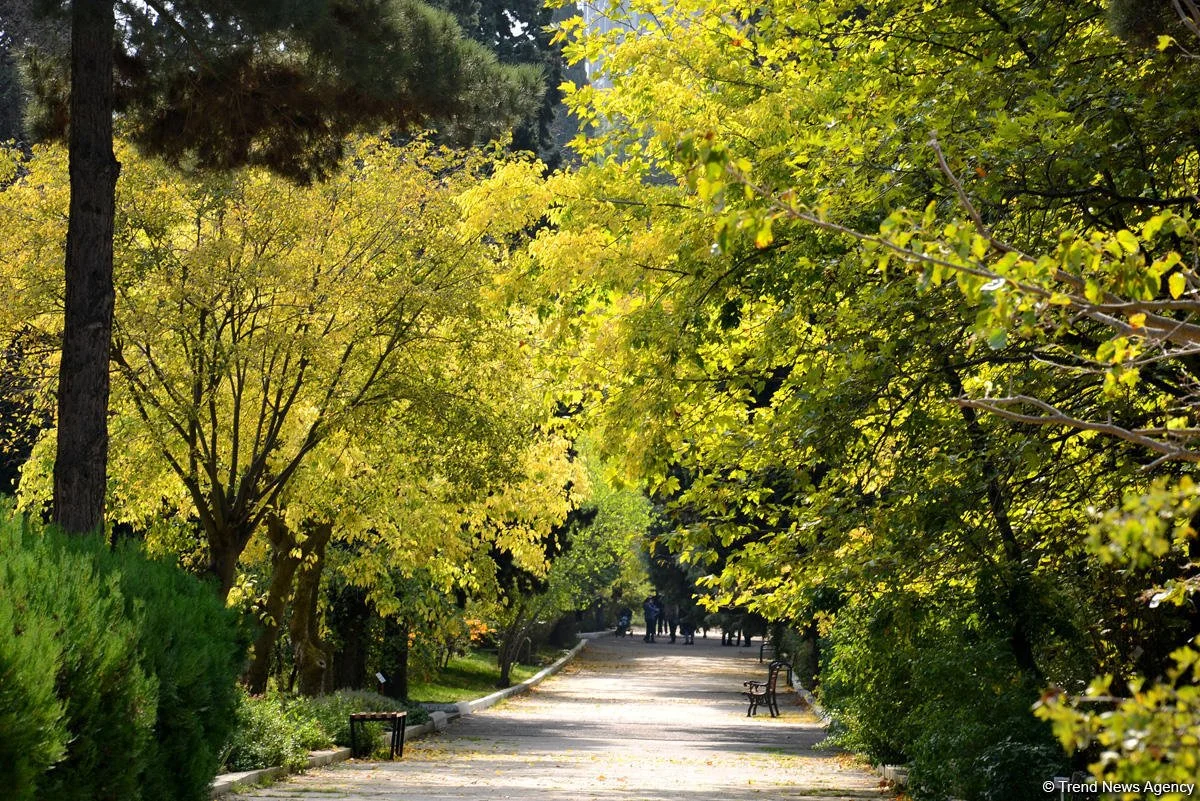 Central Botanical Garden