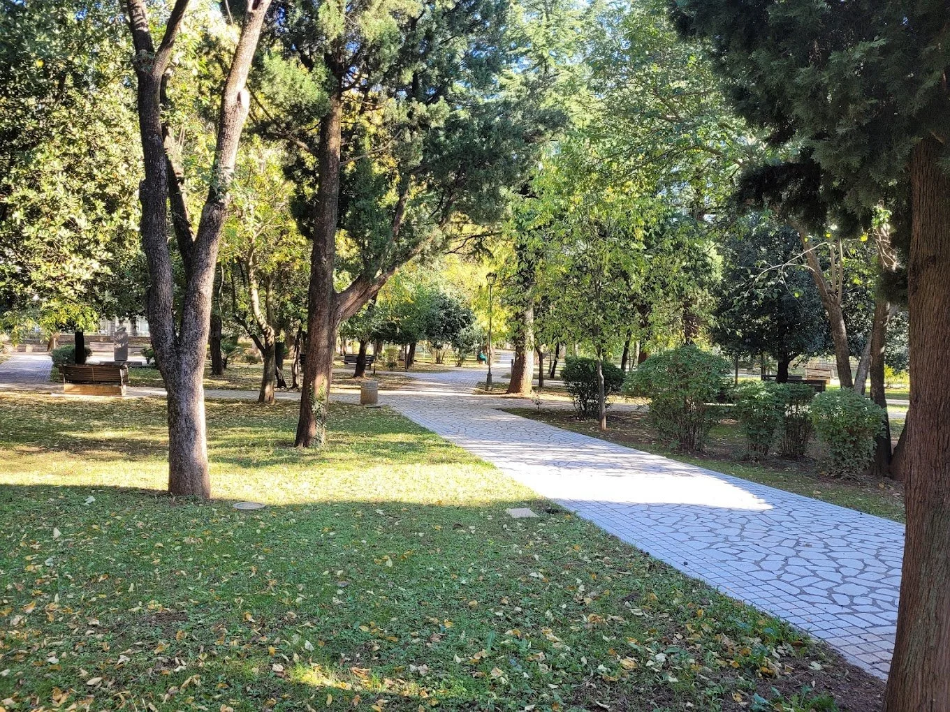 King's Park