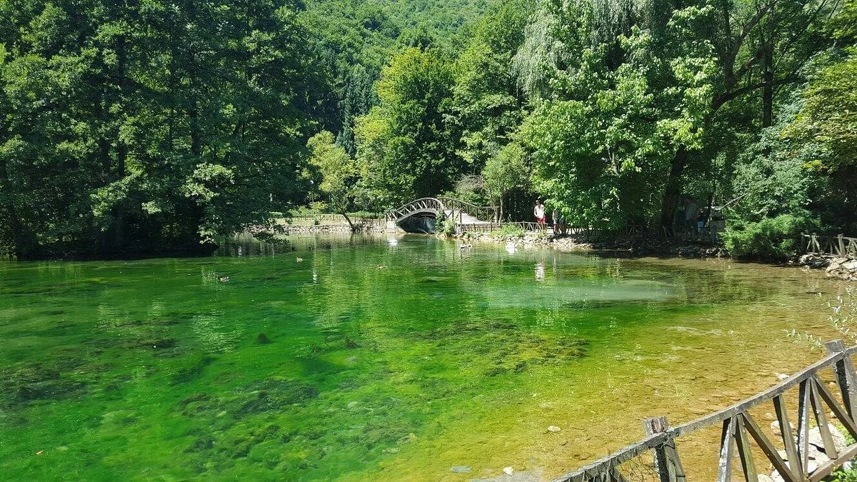 Vrelo Bosne