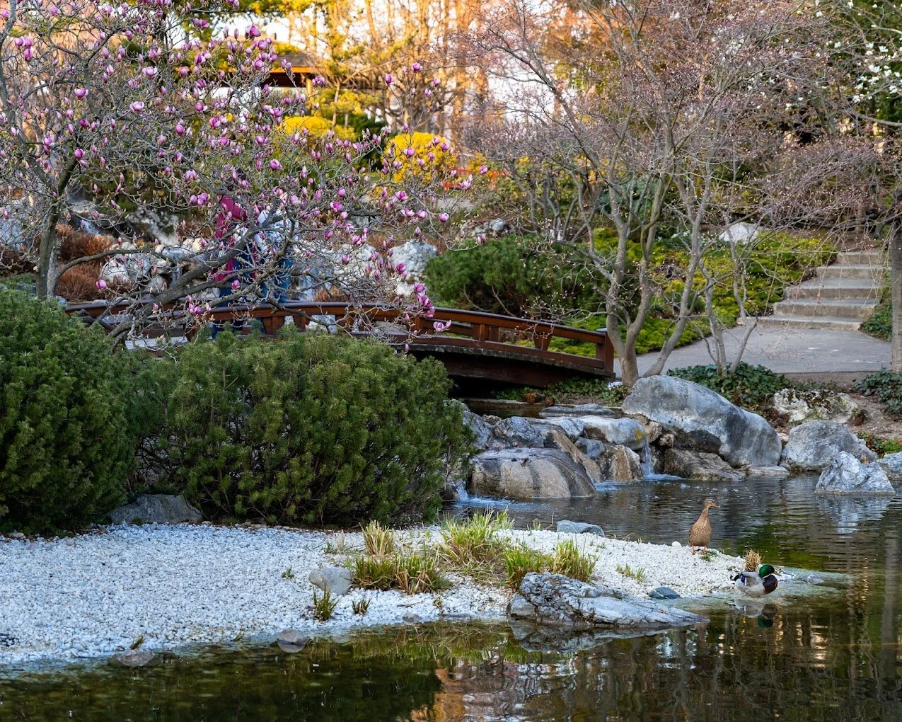 Setagaya Park