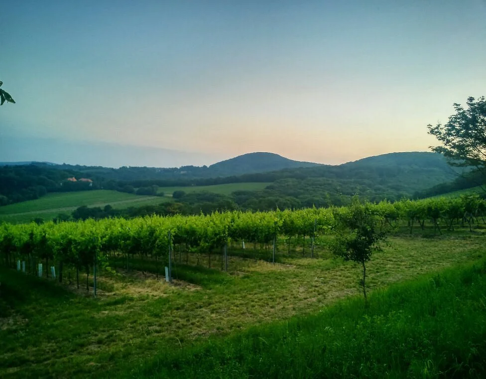 Kahlenberg