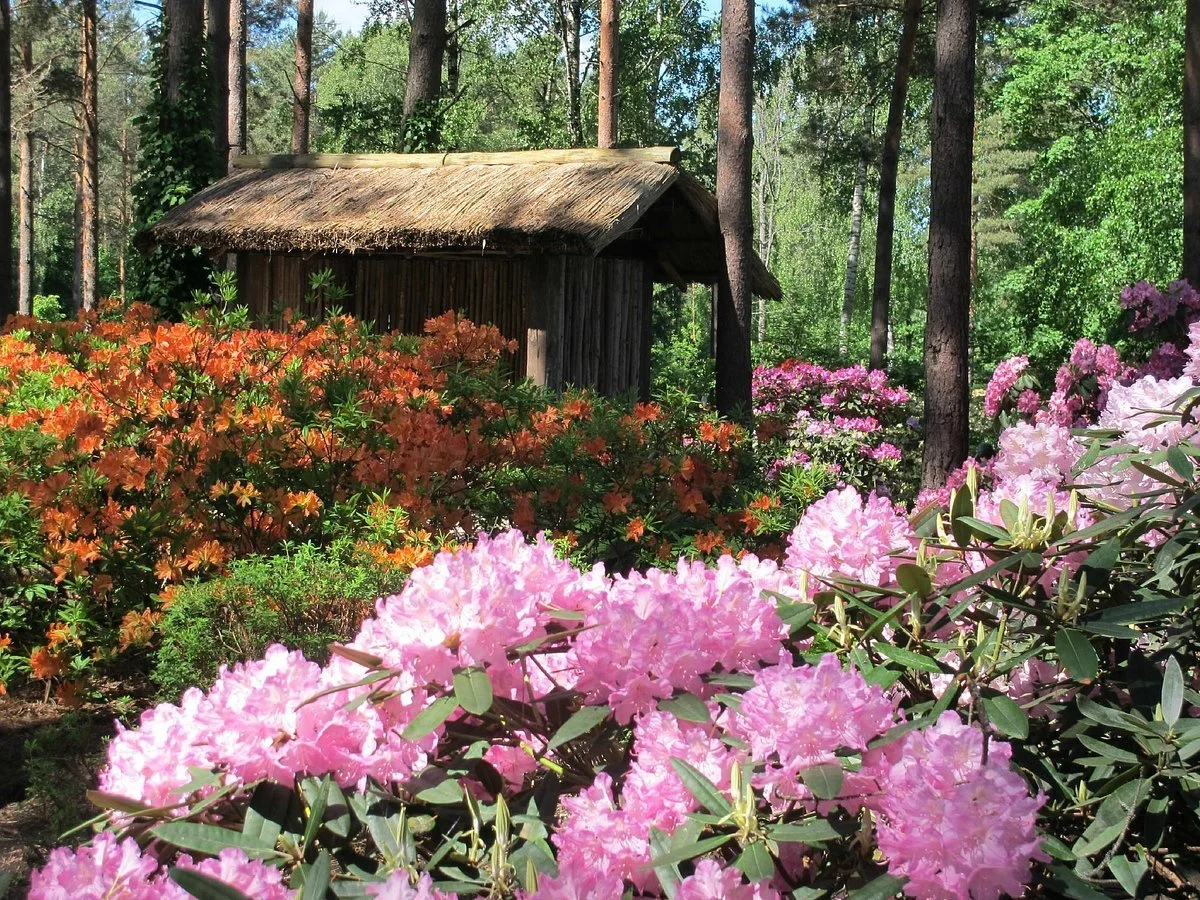 Vilnius University Botanical Garden
