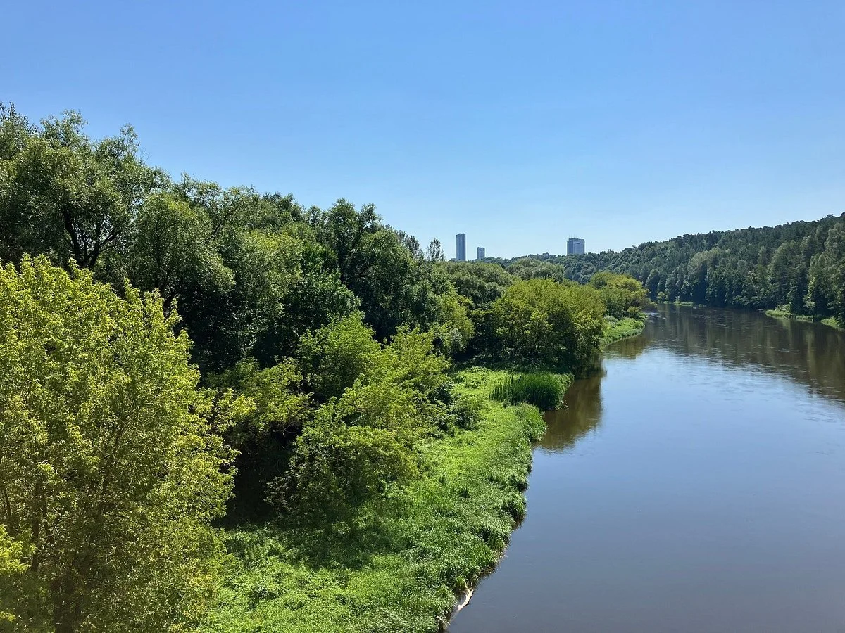 Vingis Park