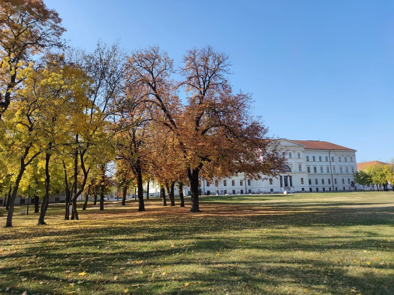Orczy Garden