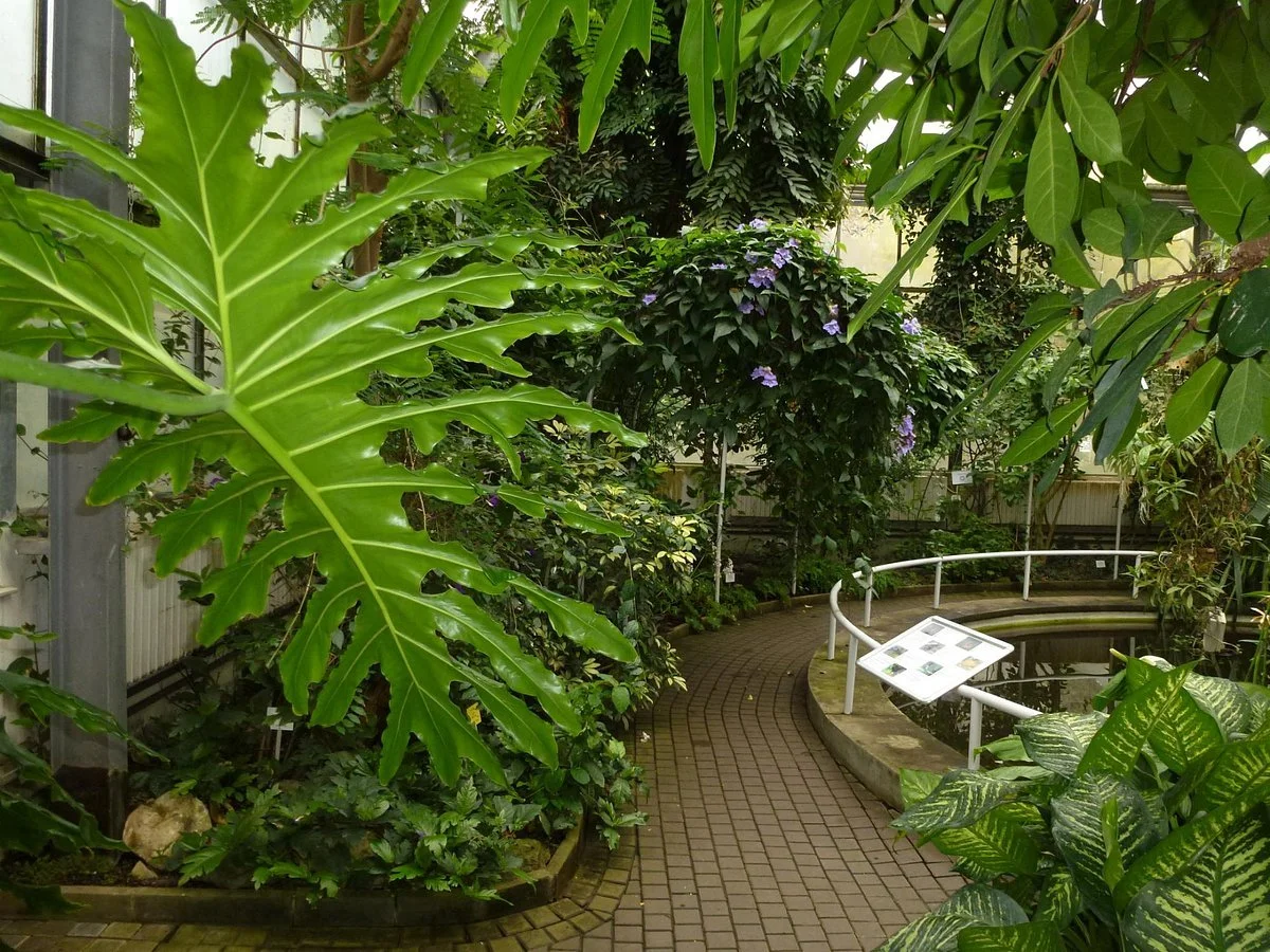 Botanical Garden of Charles University