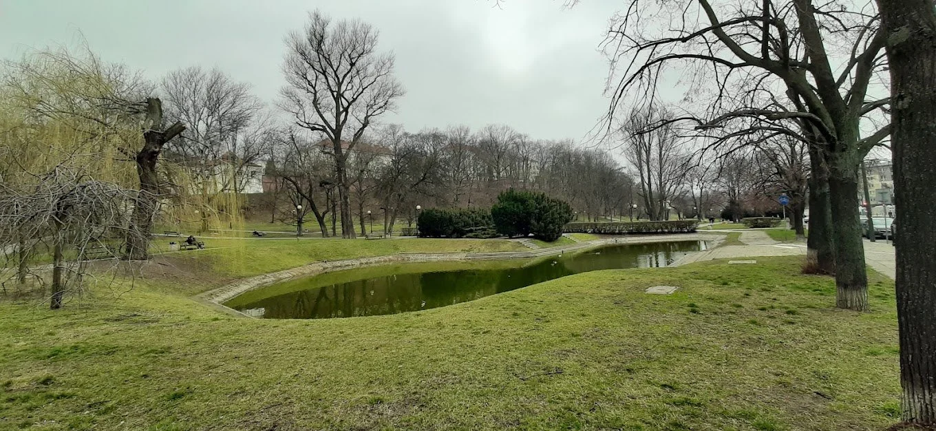 Park Kazimierzowski