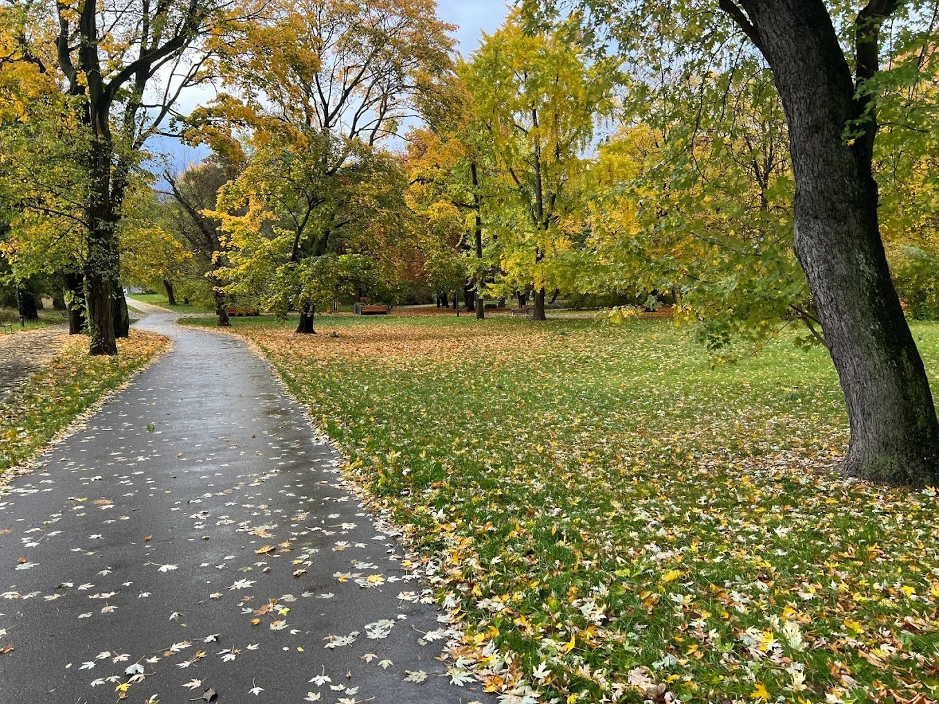 Park Praski