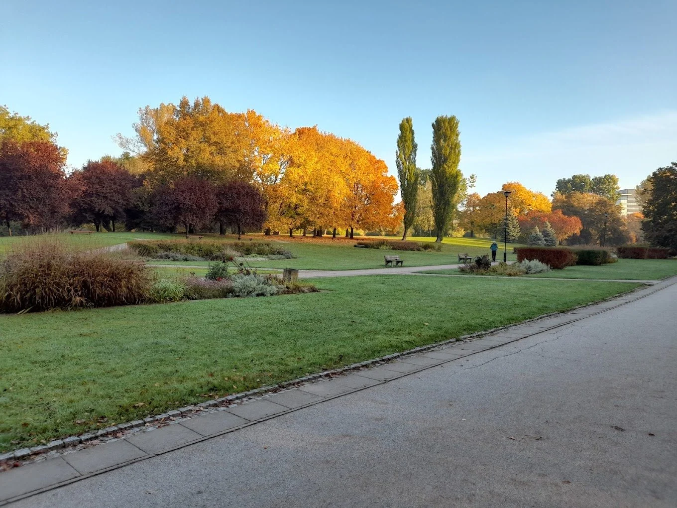 Mokotowskie Field