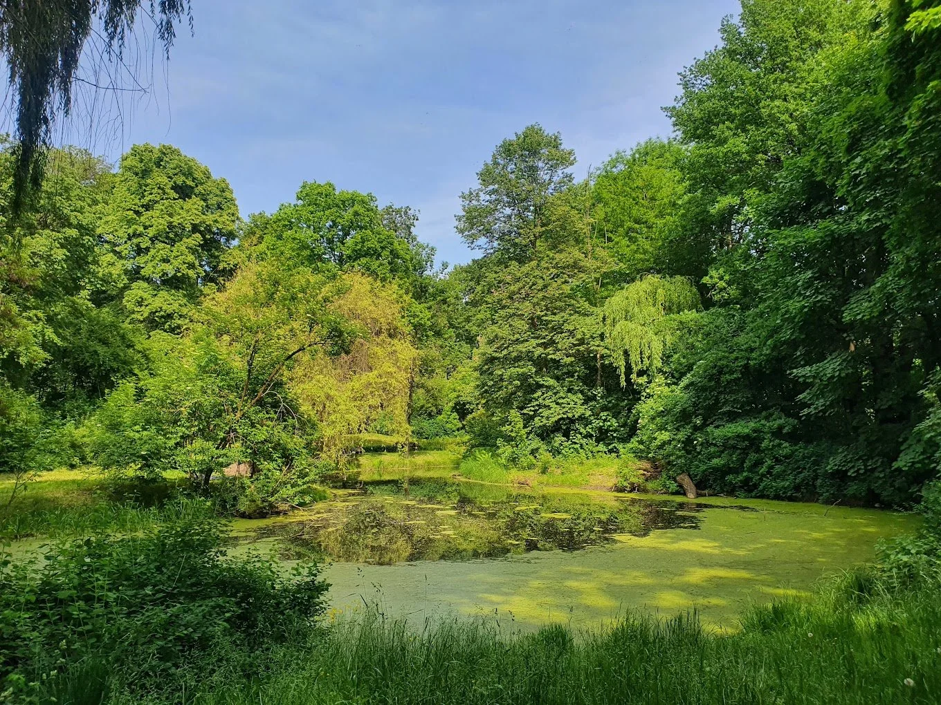 Skaryszewski Park