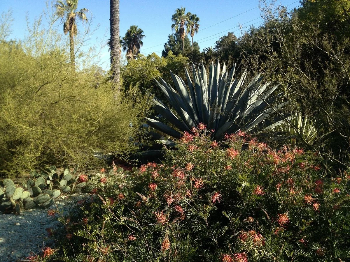Arlington Garden