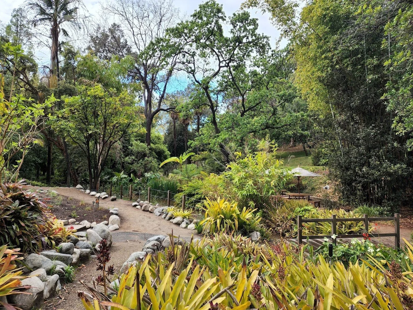 UCLA Mathias Botanical Garden