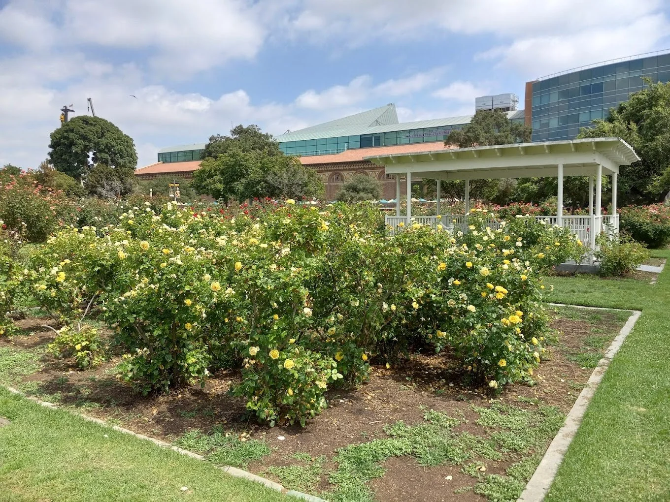 Exposition Park Rose Garden