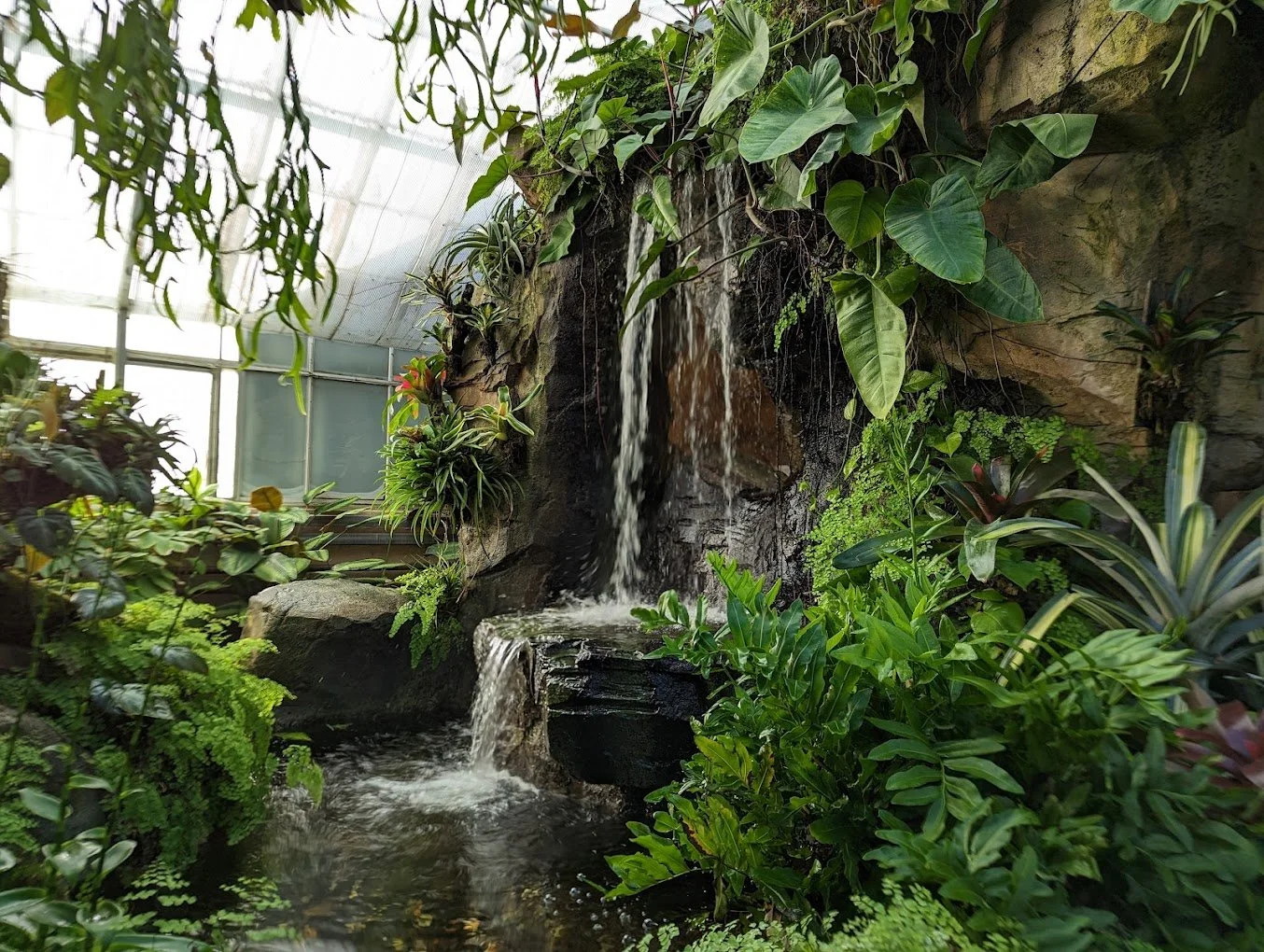 The Conservatory of the Two Sisters