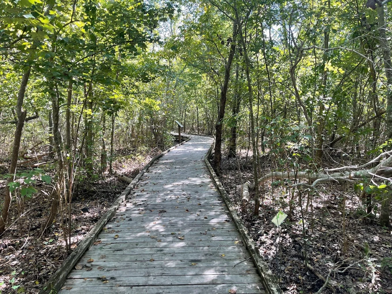 Audubon Louisiana Nature Center