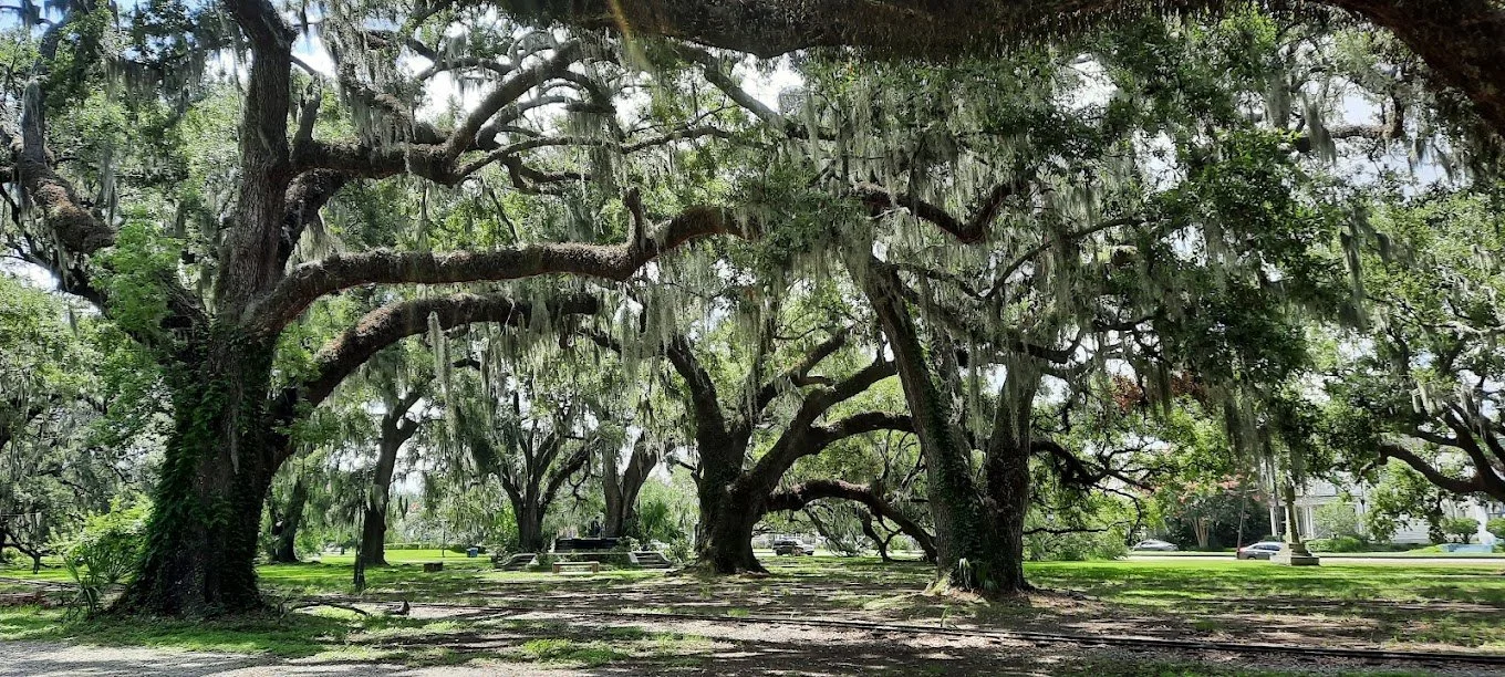 Historic Oak Grove