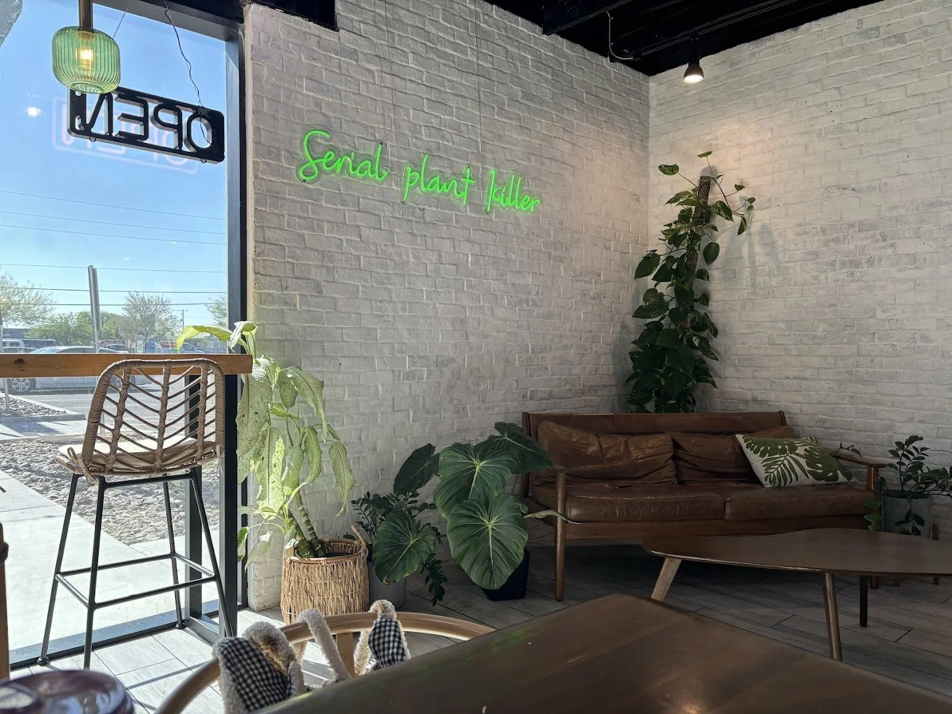 Cafe Mollie
