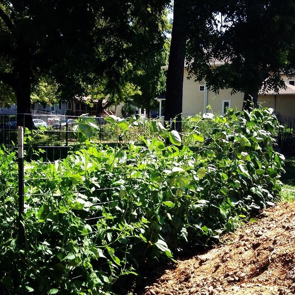 Drake Neighborhood Community Garden