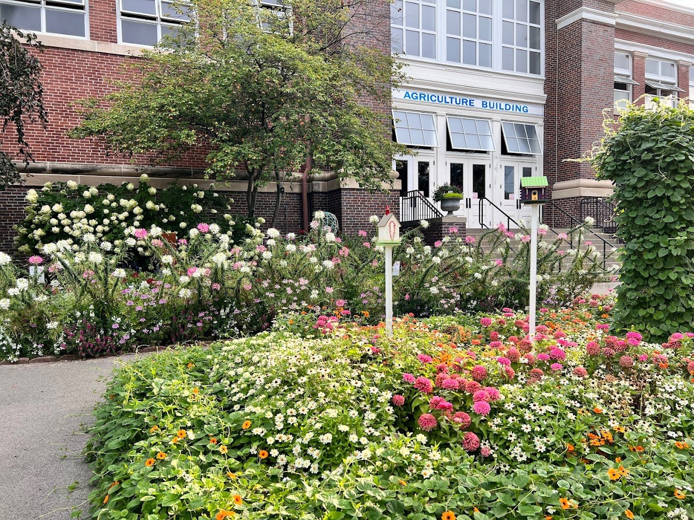 Discovery Garden