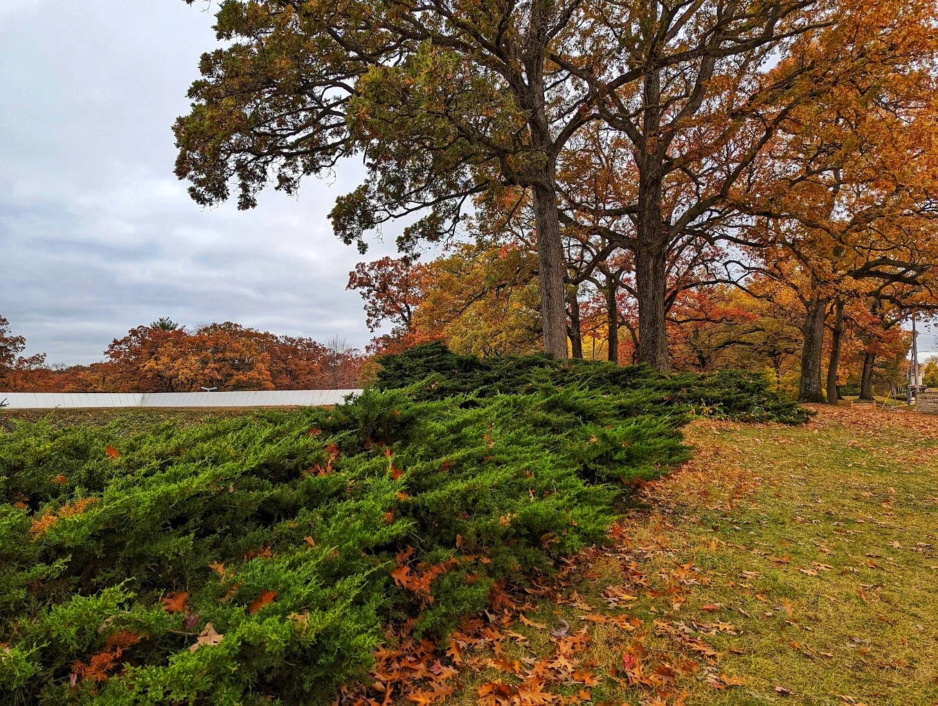 Greenwood - Ashworth Park