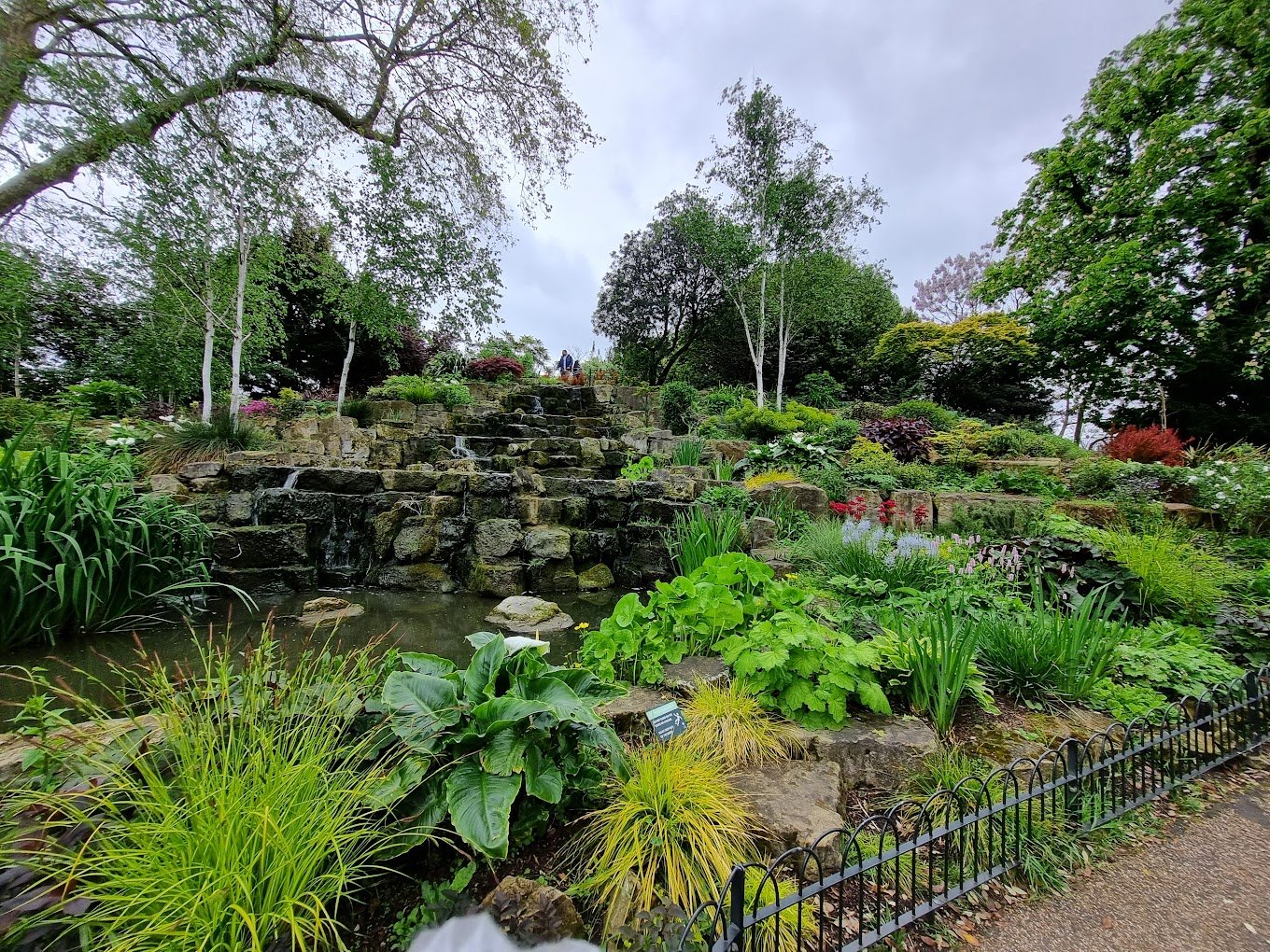 Queen Mary's Rose Gardens