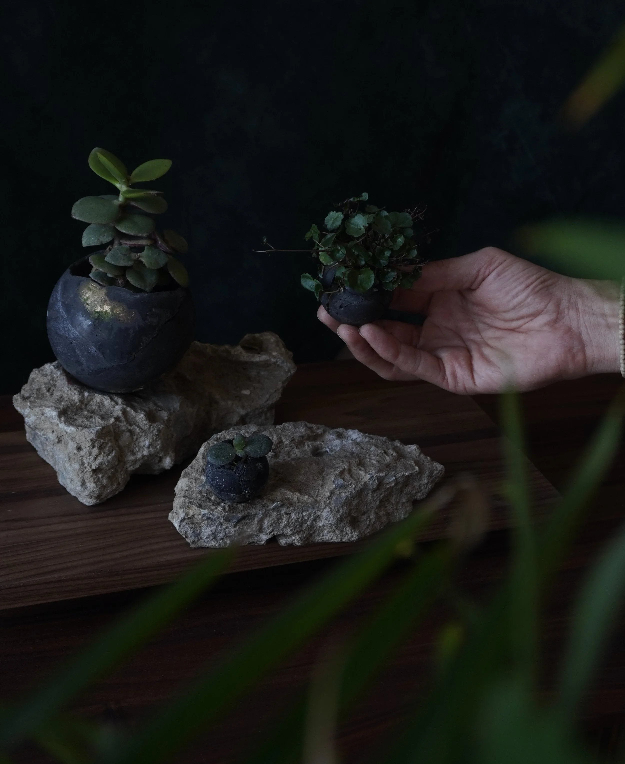 Outer Worlds are new collection from Another Galaxy