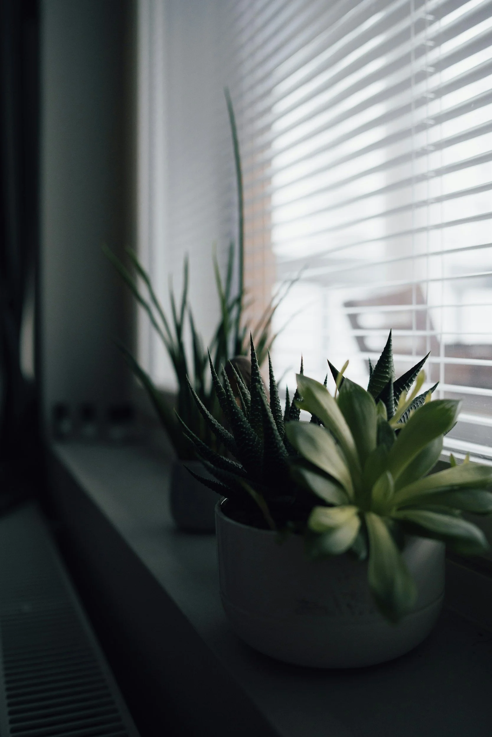 I Don’t Know What I Want to Do And That’s Okay