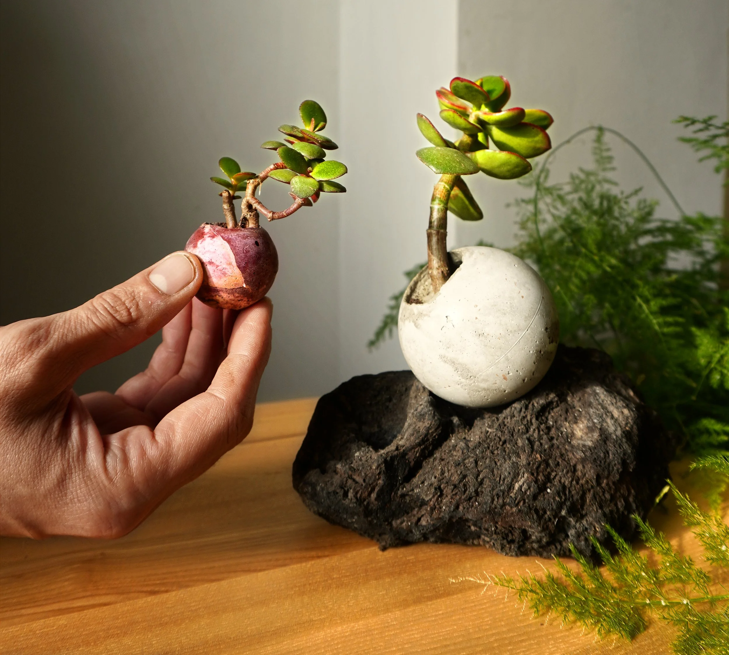 Slowness as a Design Choice