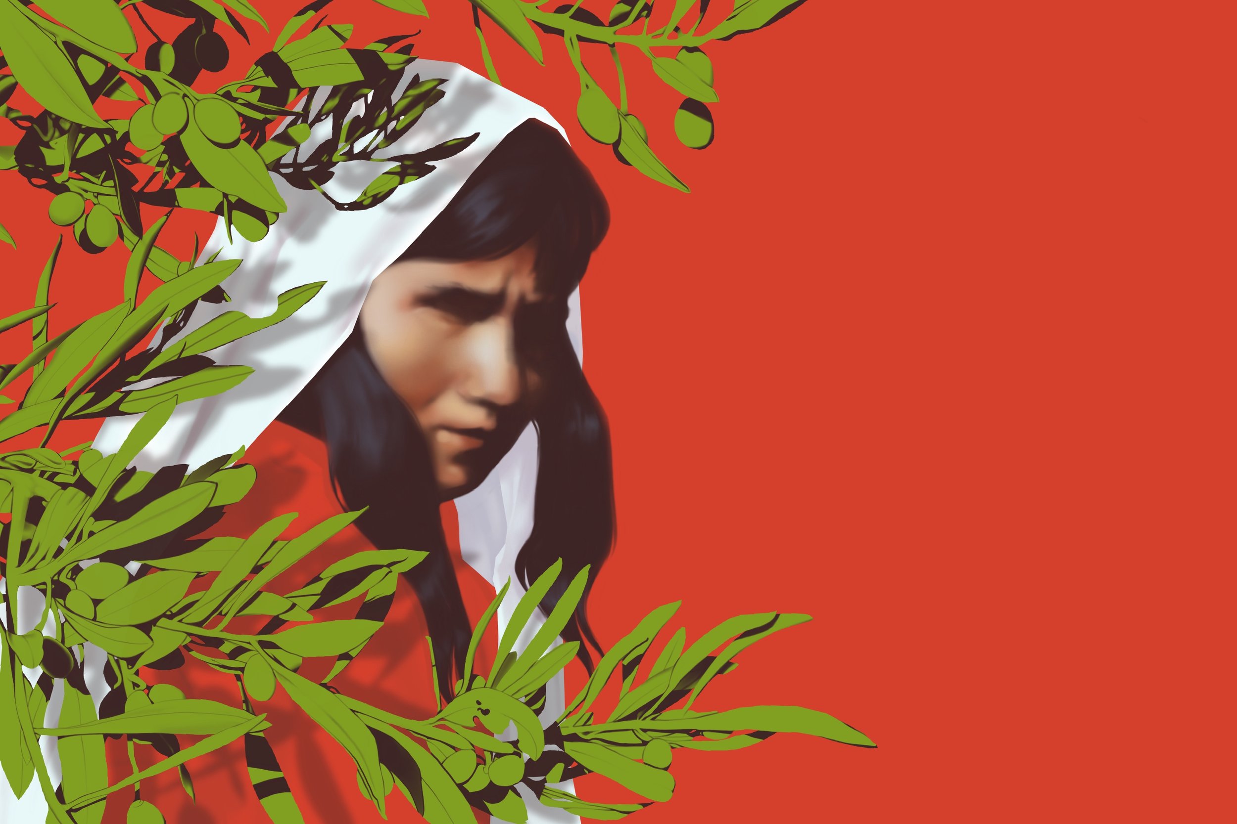 The Olive Tree: Icon of Resistance in Palestine