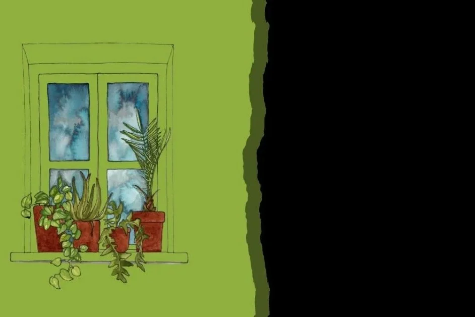 What a City's Plants Tell You About Its Culture