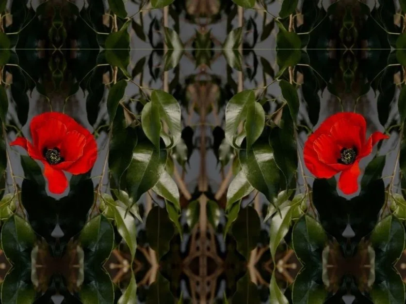 Roots of Power: Plants That Shaped History