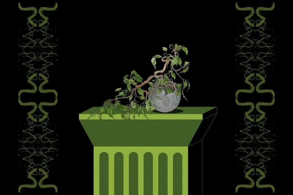 Rooted in Time: The Human Impulse to Contain and Display Plants