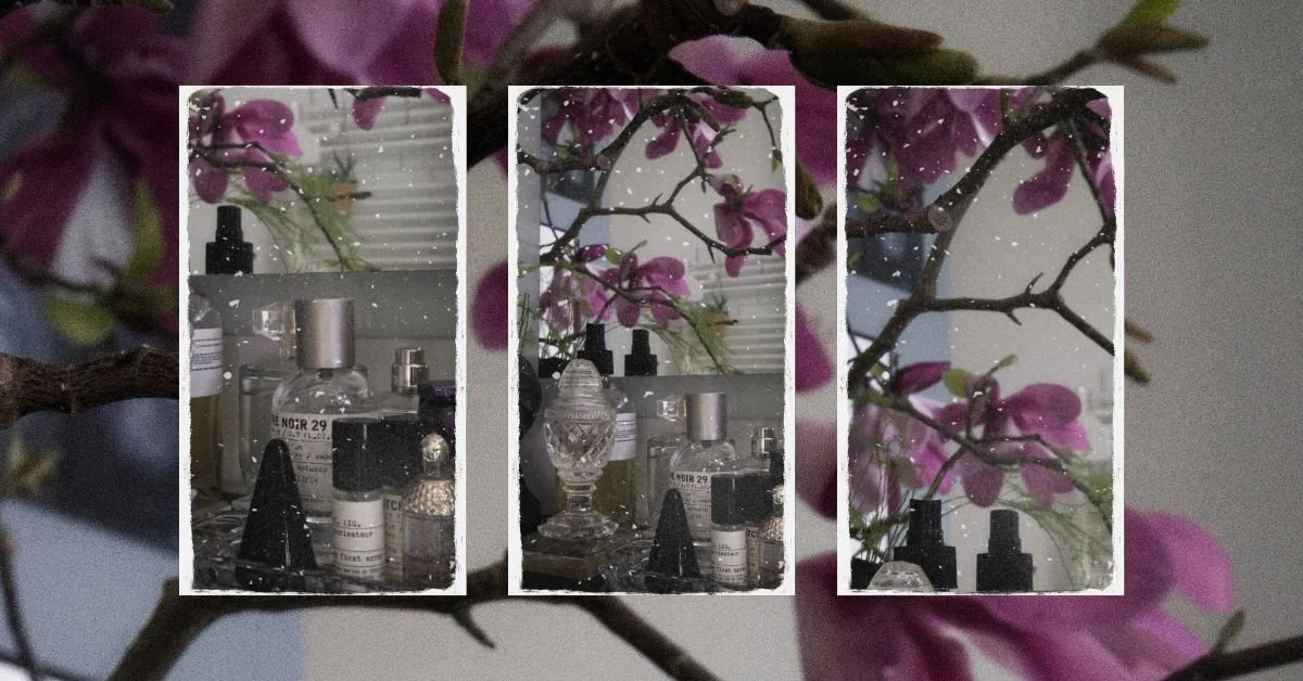 What Grows in Your Bathroom Cabinet: The Plant Origins of Skincare