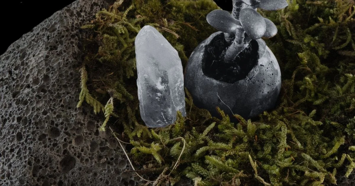 Underfoot and Overlooked: The Quiet Work of Moss