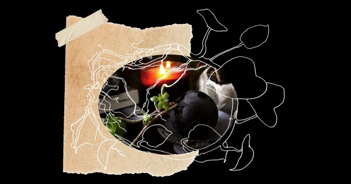 What the Air Knows: Plants, Scent, and the Science of Aromatherapy