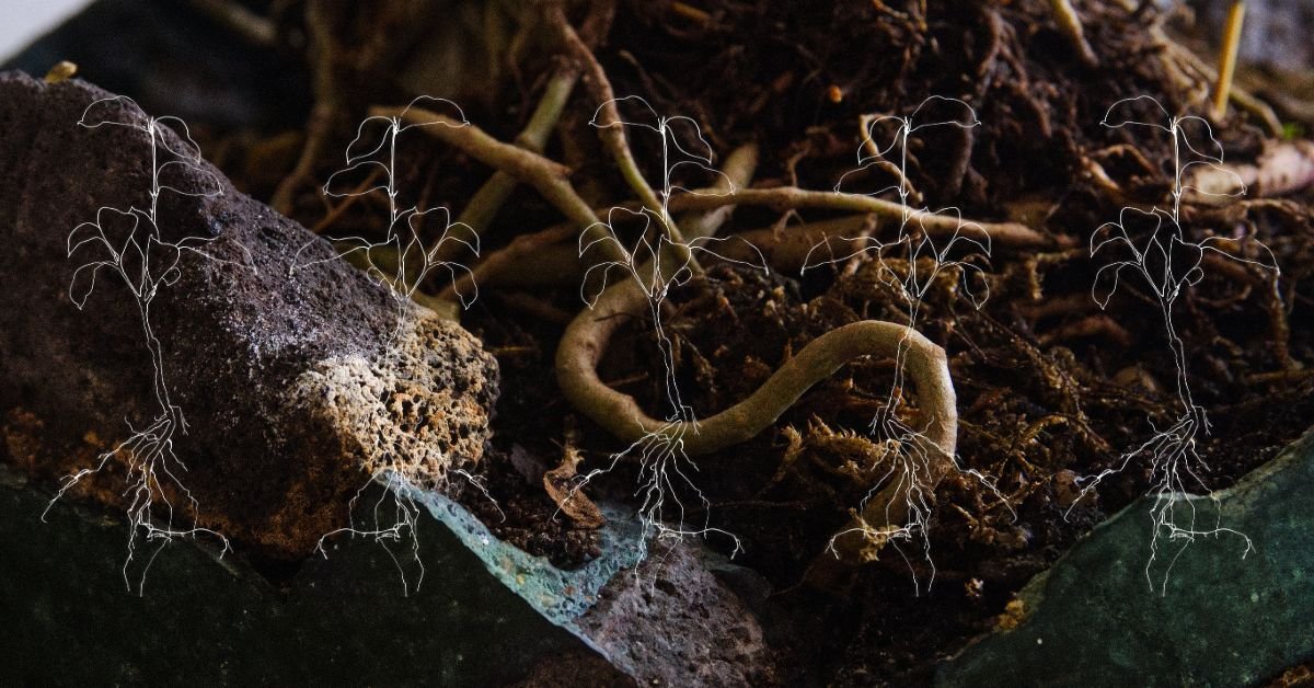 The Gods Were Always Gardeners: On Mythology and the Sacred Life of Plants