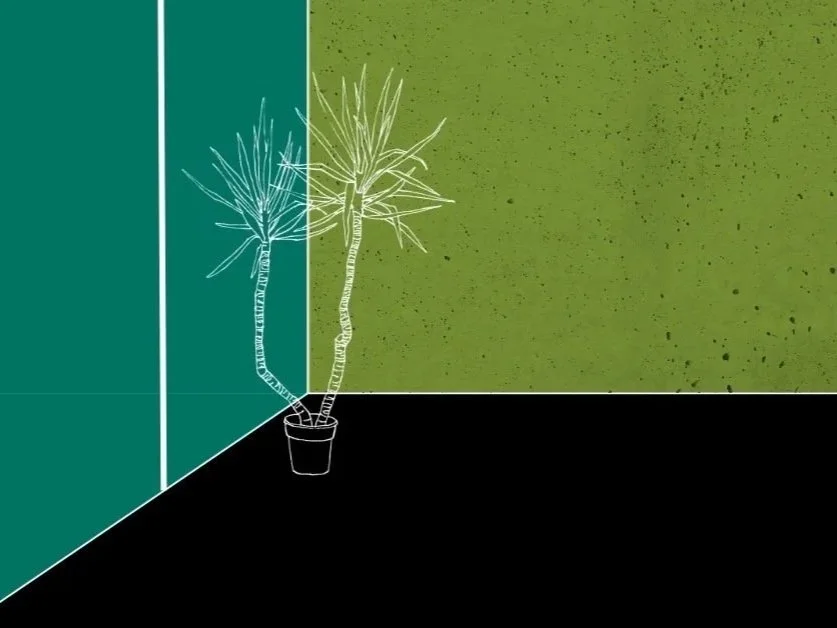 THE LIVING PALETTE