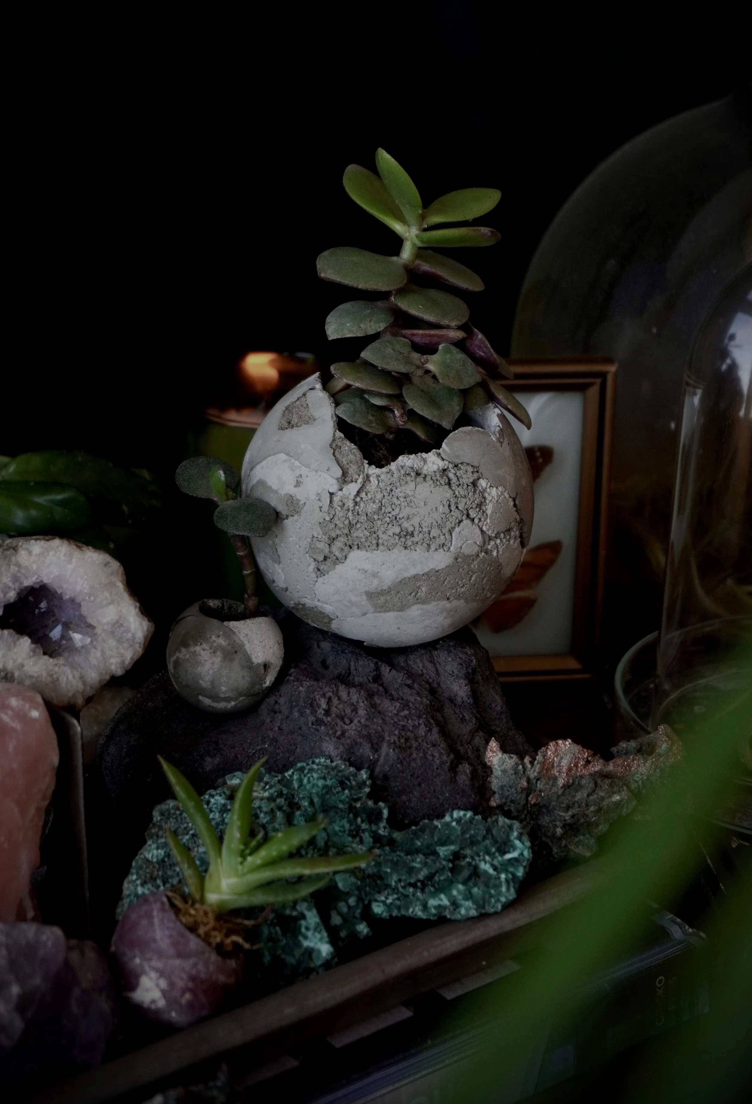 C520FC86-164B-4F7F-9FCB-DAEB5D436DEA 3.jpg