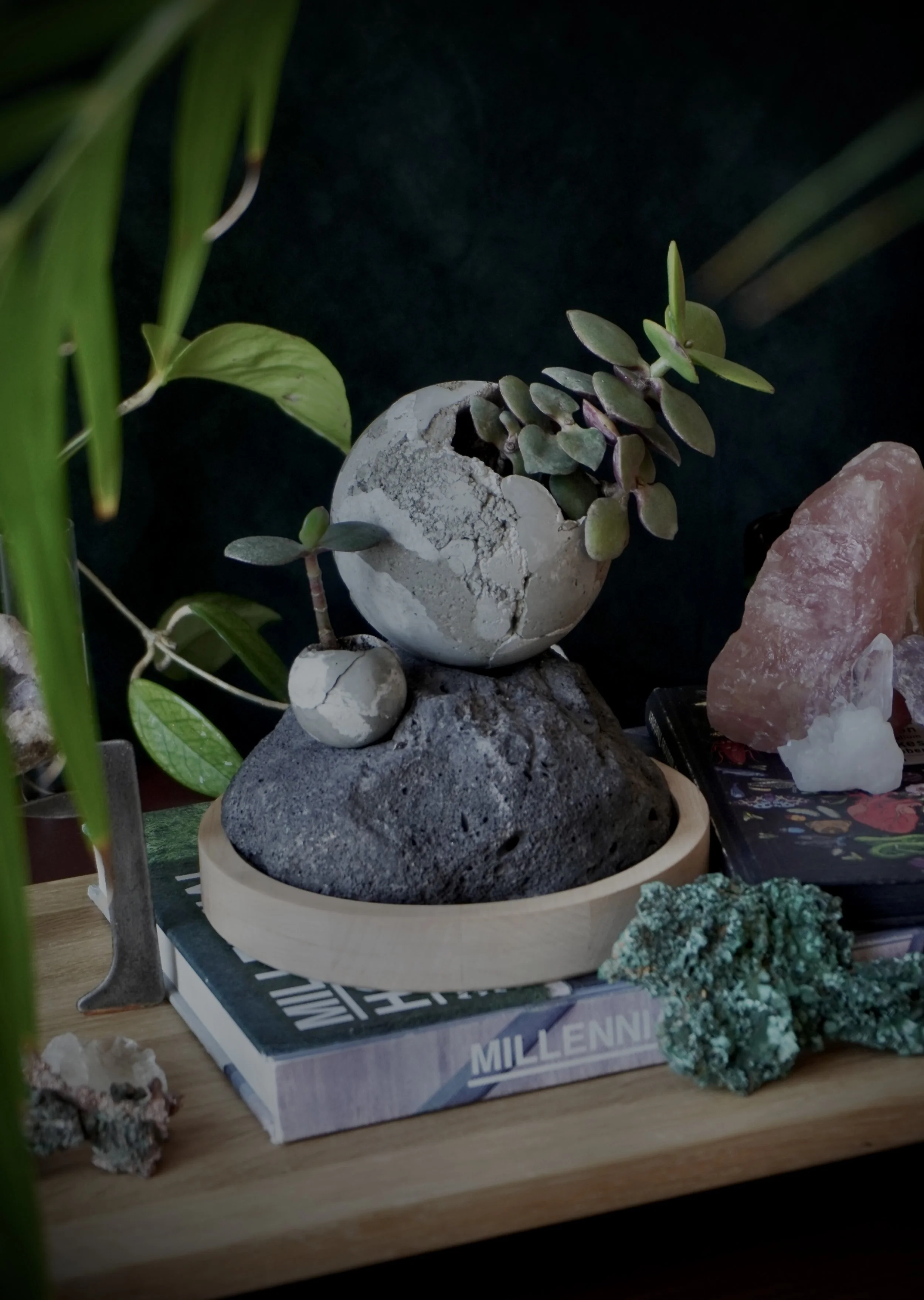 E9E25DC4-8831-4936-9C8E-88C580401522 3.jpg