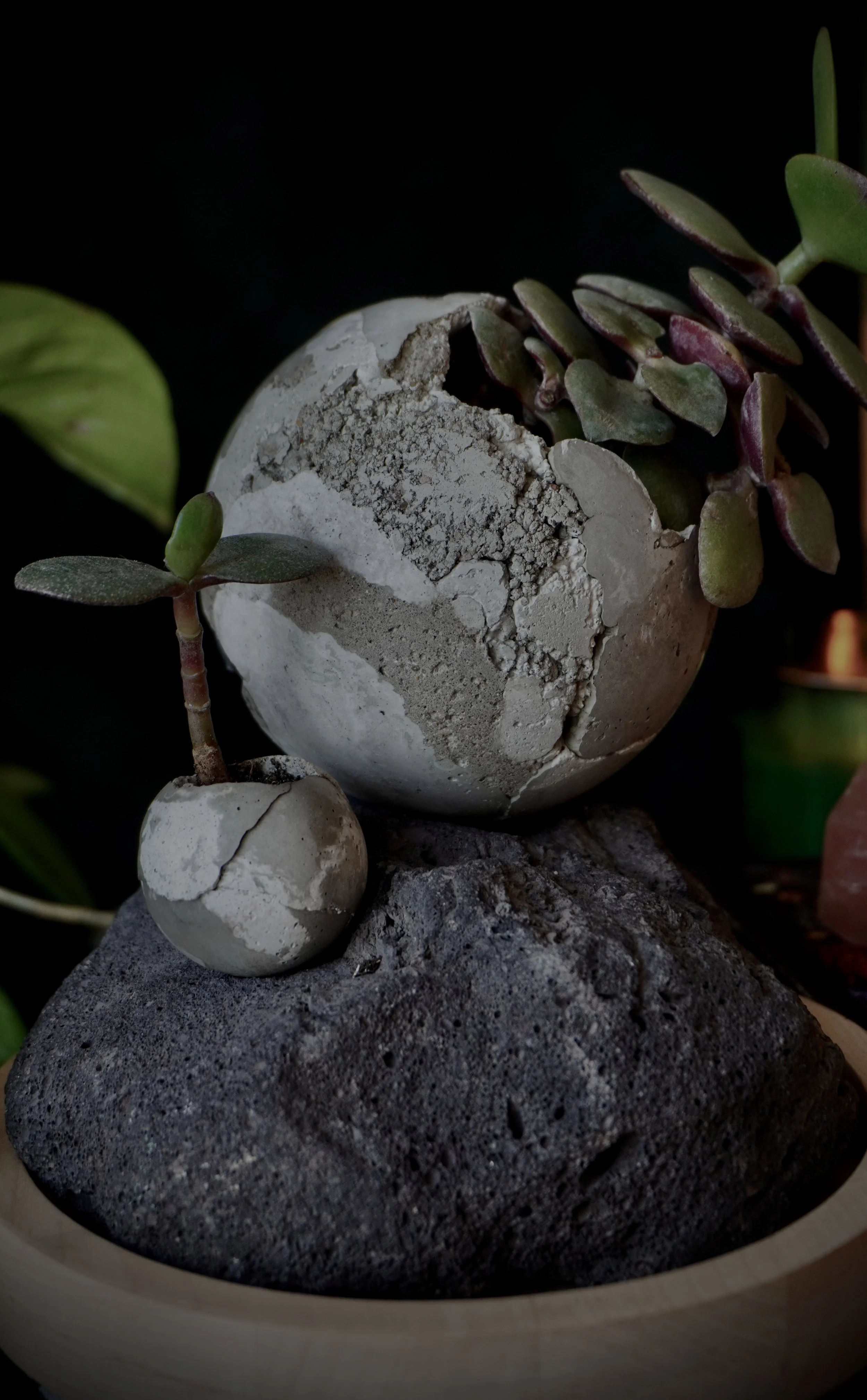 EE0C2465-B621-48B6-BEA3-4581C89742A0 3.jpg