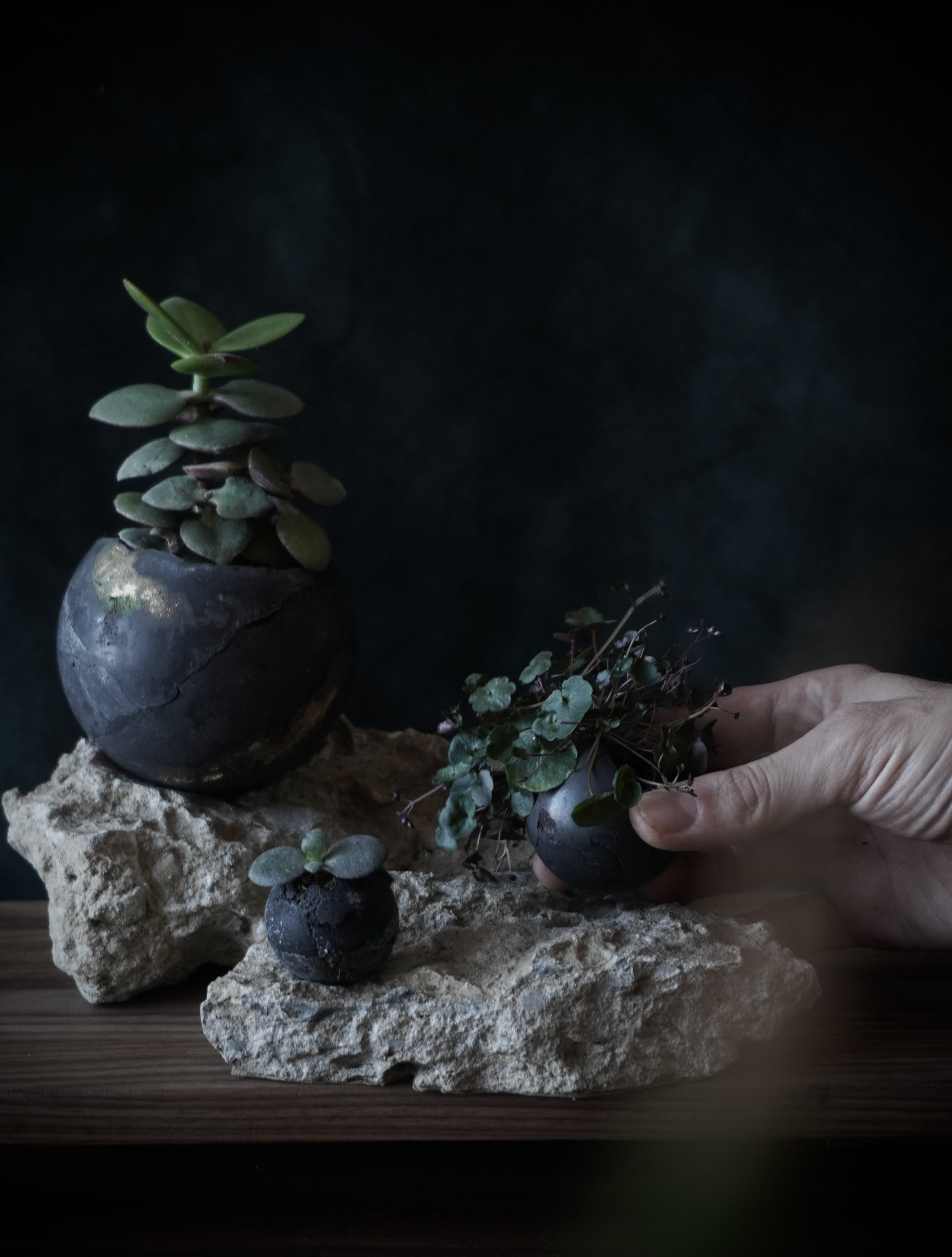 F35D6C22-629B-4A34-94B1-D4466549FE26_1_201_a 3.jpg