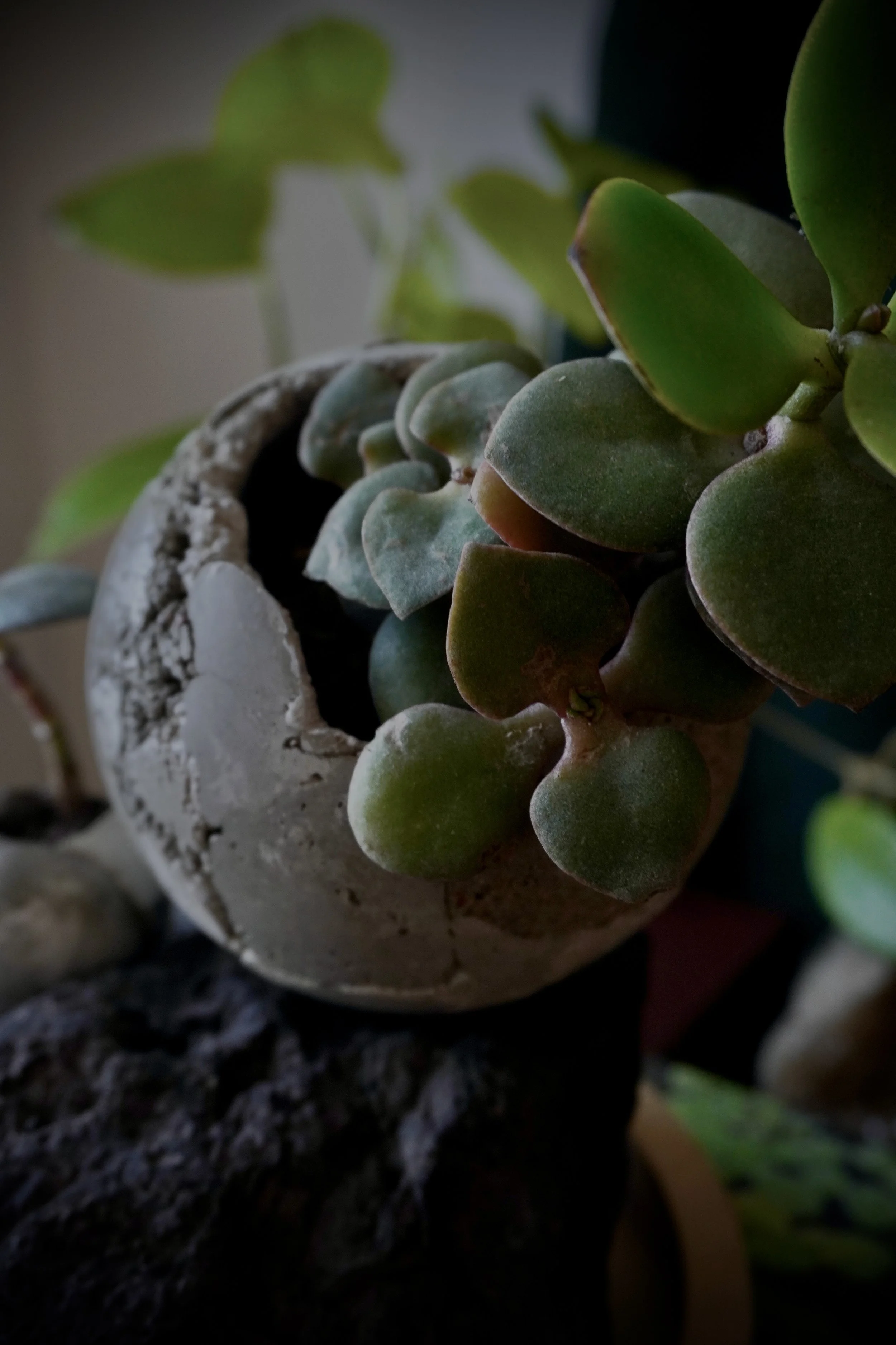 EBAFFABC-A592-49EA-B6B2-88B1656C47B9 2.jpg