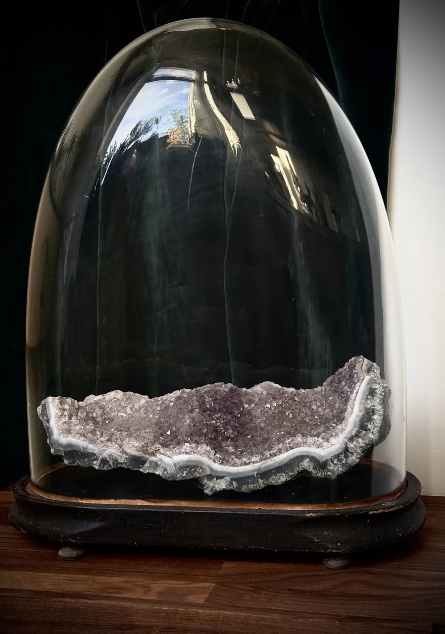 Worth Keeping Under Glass — Antique French Display Dome