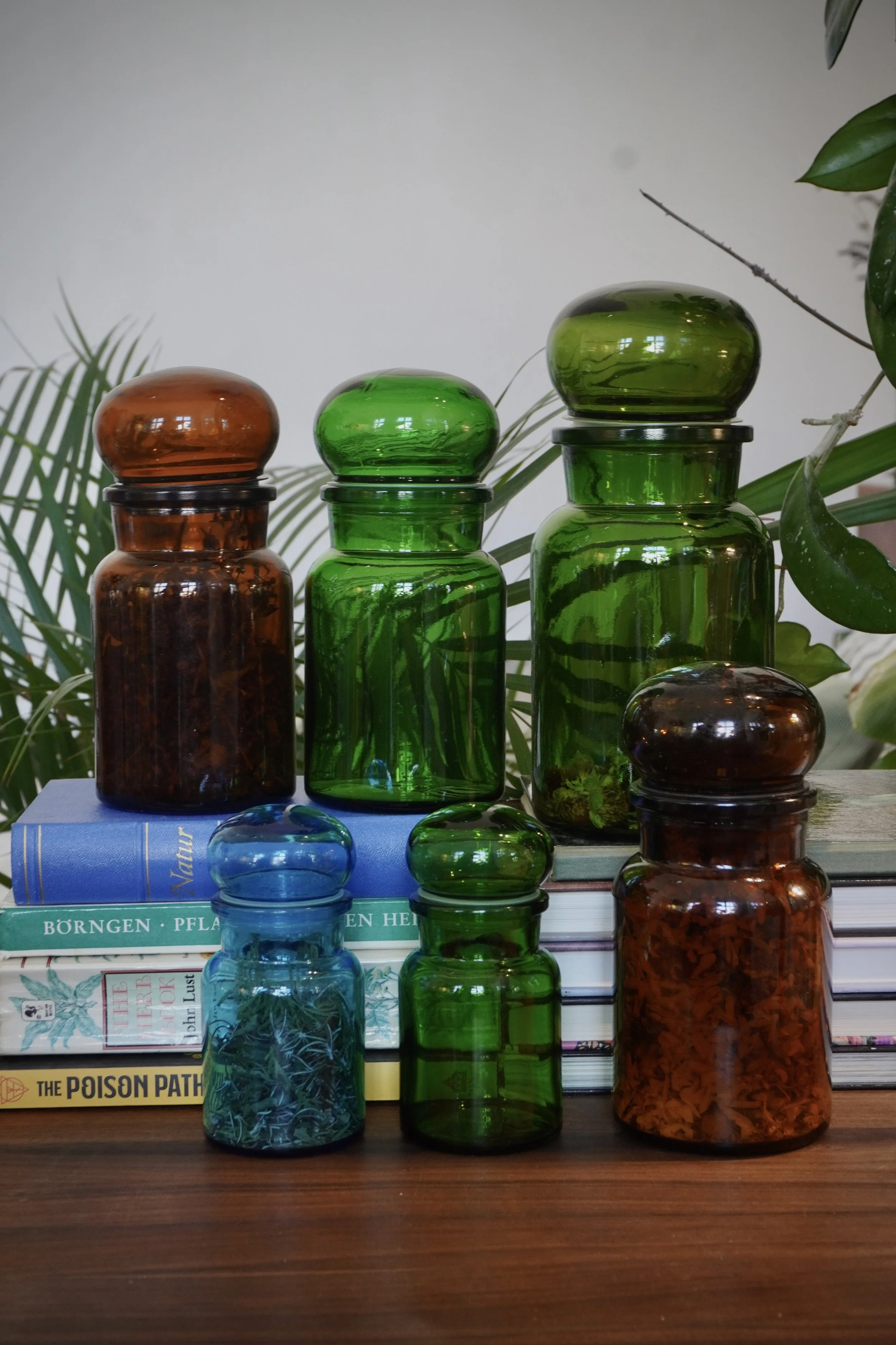 DSC05097.jpg
