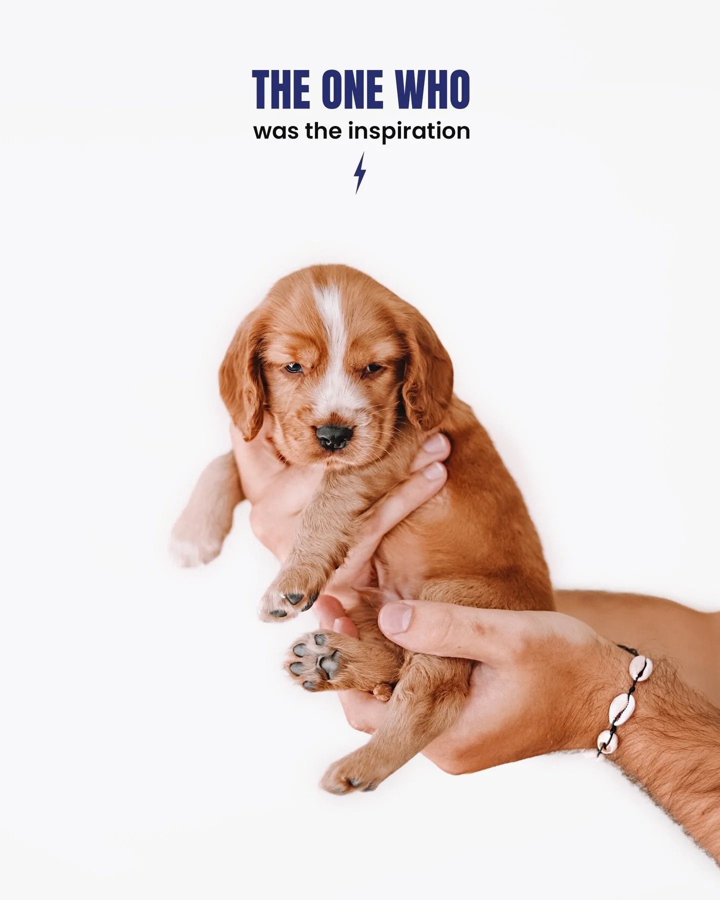 the one who... 🔍 
&bull;
entre estas fotos antigas percebemos algo: empreender &eacute; assumir mil fun&ccedil;&otilde;es diferentes e ainda encontrar espa&ccedil;o para criar algo novo ⚡️
&bull;
esta trend fez-nos parar e reconhecer tudo o que acon