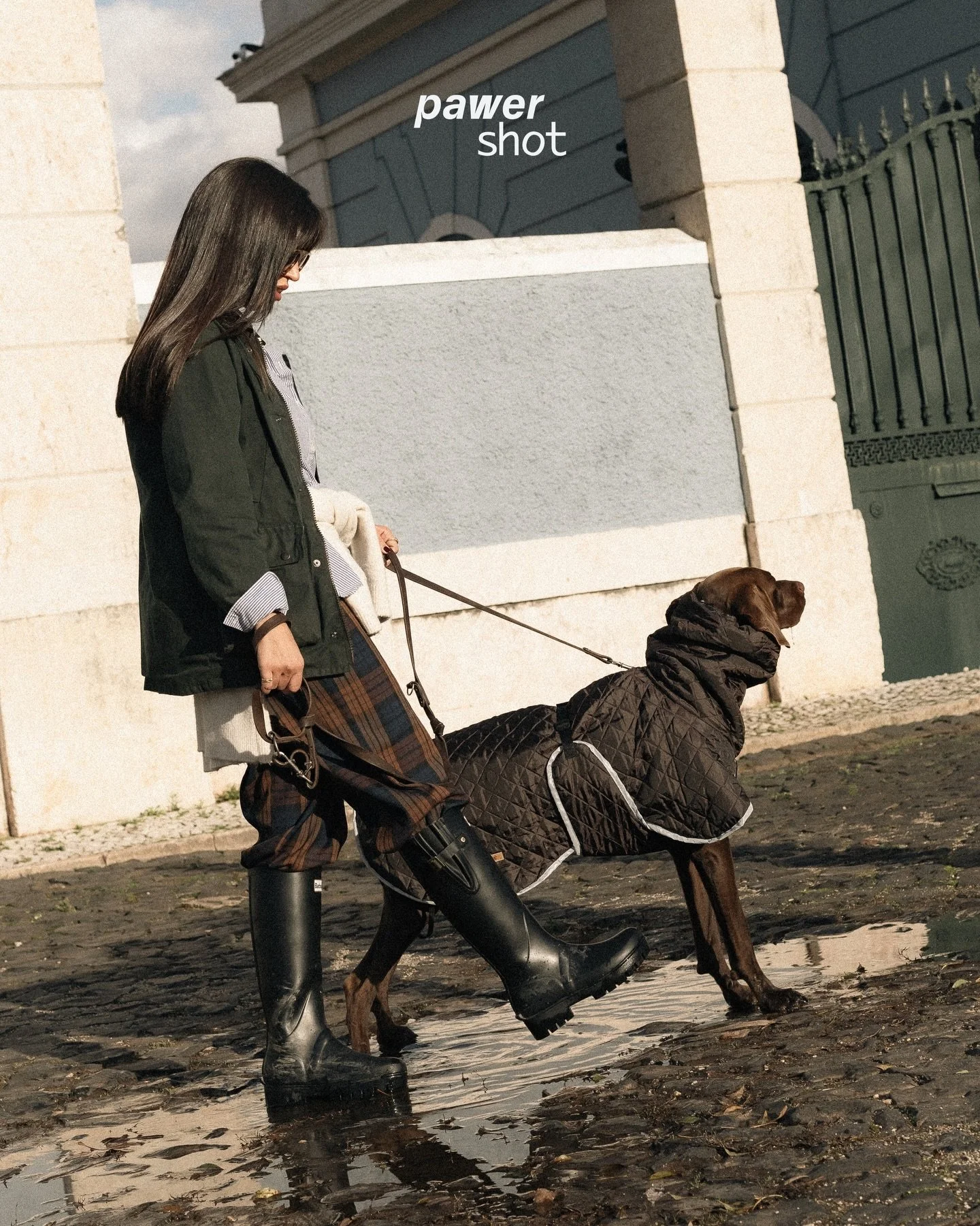 o objetivo n&atilde;o era este mas a caminho da location o modelo pet gostou tanto da po&ccedil;a que tivemos de aproveitar 💦 fa&ccedil;am swipe e vejam um pouco de BTS 🎬
&bull;
🇵🇹 fotografia lifestyle de produto pet para a @pajesnoods 
Marca j&a