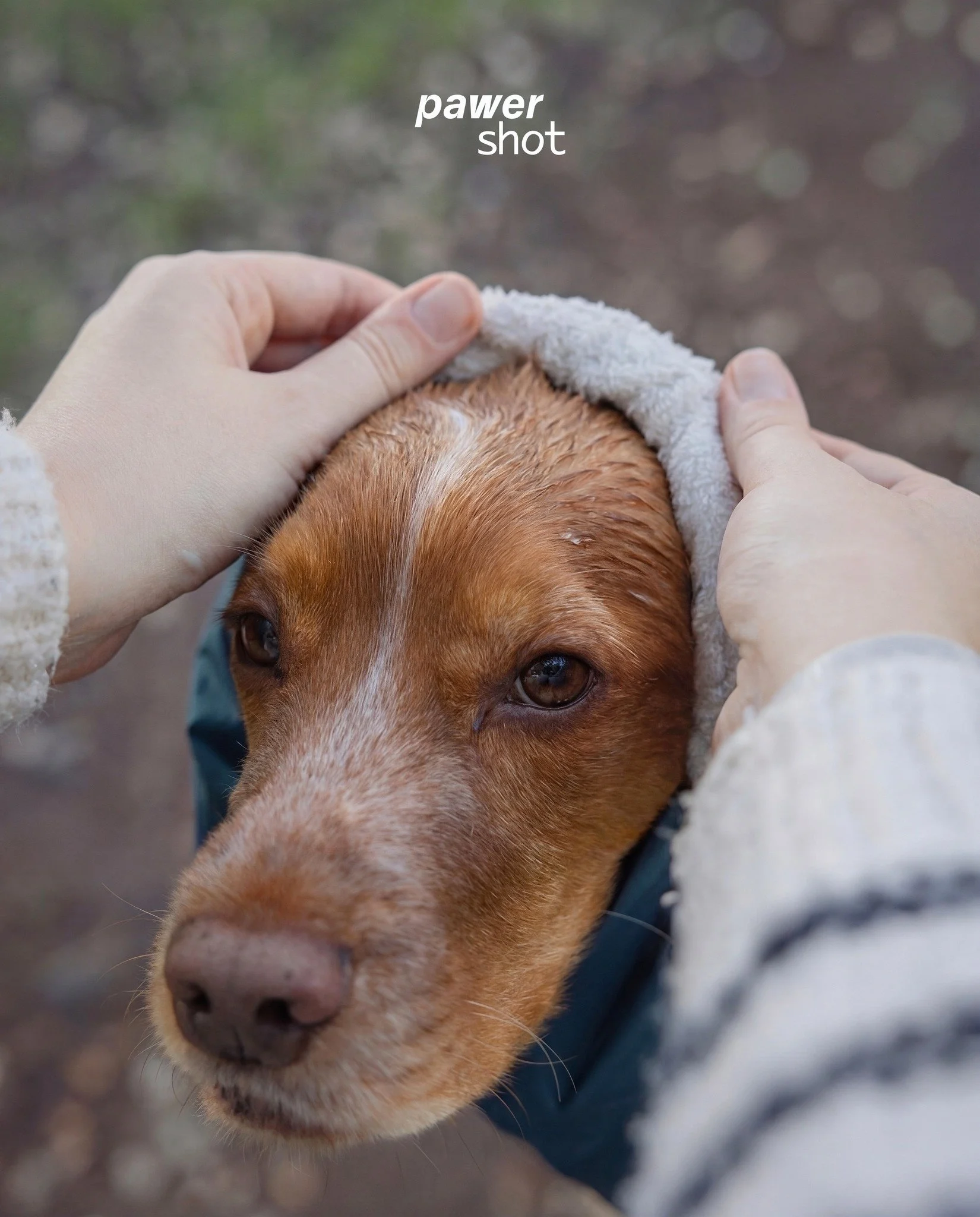 voc&ecirc;s votaram e decidiram ⚡ aqui est&atilde;o os antes e depois do p&oacute; m&aacute;gico aka IA 🪄
&bull;
mas afinal, quando recorrer &agrave; IA? para n&oacute;s, faz todo o sentido utiliz&aacute;-la como um complemento ao nosso trabalho. af