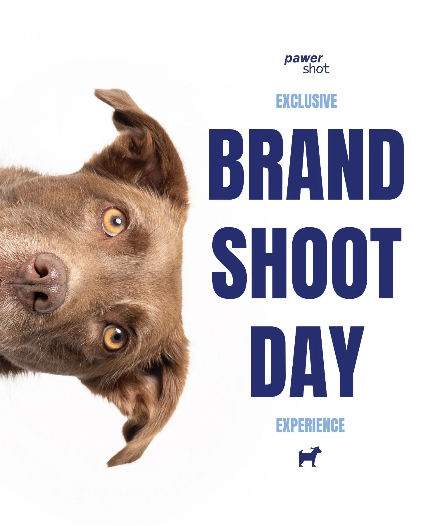 CANDIDATURAS ABERTAS 📣 RESTA 1 VAGA
&bull;
Exclusive Brand Shoot Day: um dia especial que cri&aacute;mos para celebrar o nosso anivers&aacute;rio, dedicado &agrave; cria&ccedil;&atilde;o de conte&uacute;do profissional. 📸
&bull;
Neste dia, cada mar