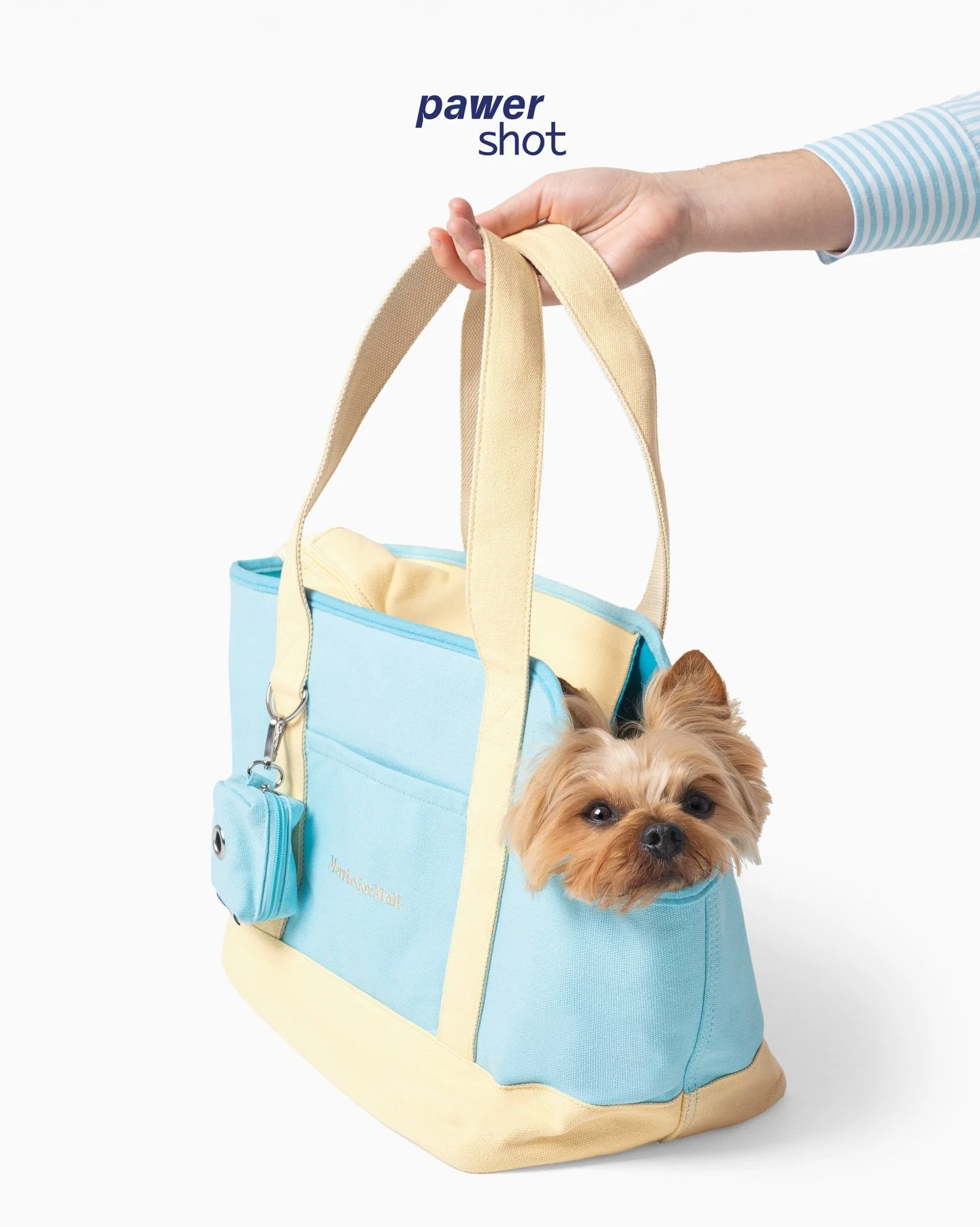 os pequeninos tamb&eacute;m merecem produtos em grande ✨ faz swipe para o saltinho mais fofo que vais ver hoje 🐾
&bull;
🇵🇹 fotografia de produto em pet para a Morris Got Mail
Marca j&aacute; a sess&atilde;o da tua marca connosco ⚡️ atrav&eacute;s 